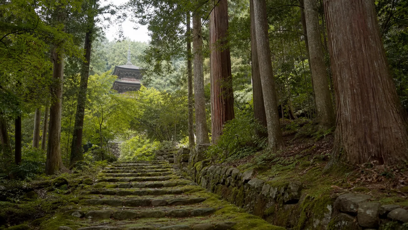 木立の中の参道と奥に見える塔を歩くイメージ
