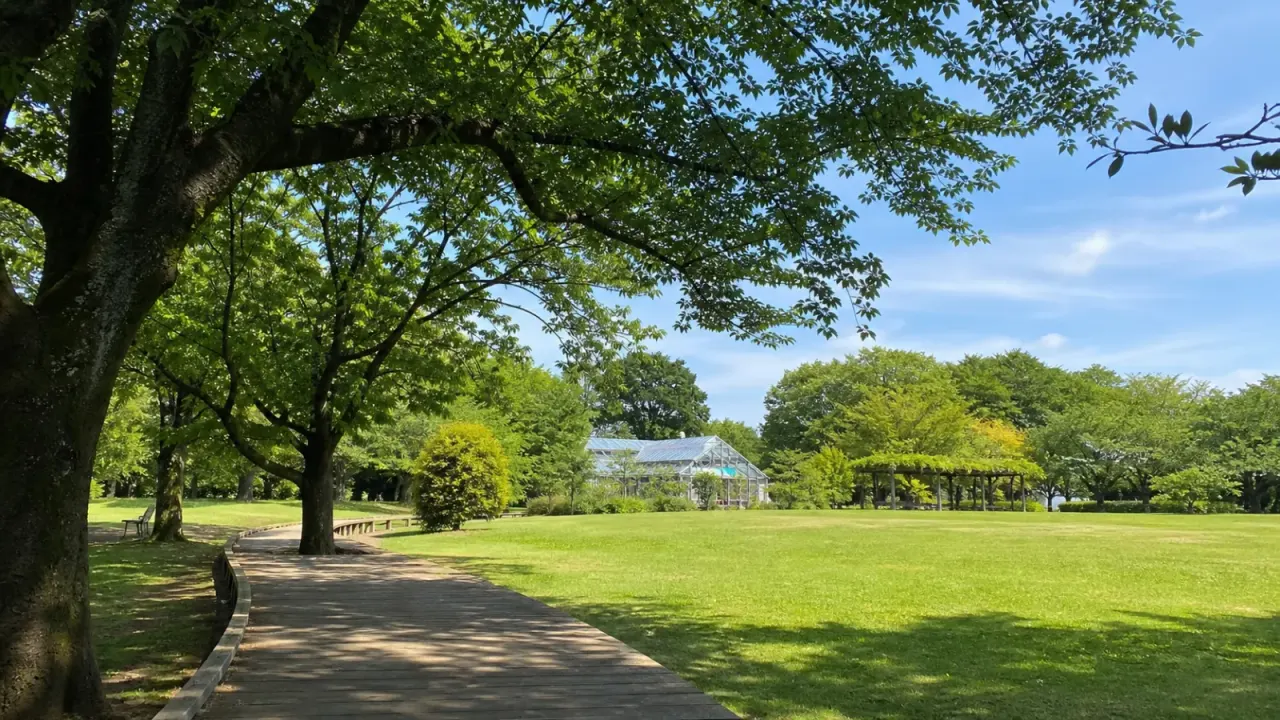 さいたま市北区の市民の森・見沼グリーンセンターを歩く散歩記事。土呂駅から行ける芝生広場、温室、見沼田んぼ周辺の緑を半日で楽しむ流れをまとめます。