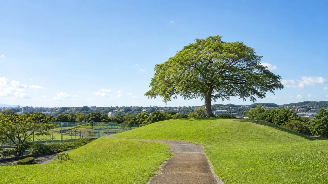 横浜市南区の清水ケ丘公園で、見晴しの丘、シンボルツリーのエノキ、緑の園路を静かに歩く散歩を紹介。井土ヶ谷・南太田・保土ケ谷方面から使いやすい1時間半の歩き方をまとめます。