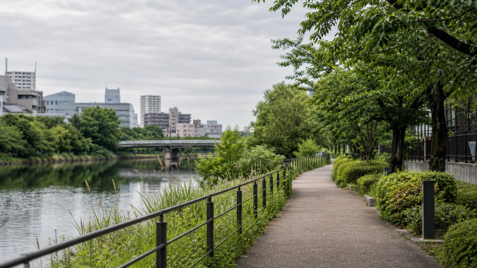 運河沿いの遊歩道と植栽の近景のイメージ