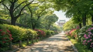 信濃町散歩モデルコース｜緑道から神宮外苑へ抜ける90分の癒やし旅