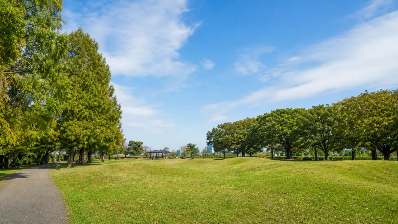 江戸川区の篠崎公園を散歩する人向けに、芝山と草地、樹木、アジサイ、和風広場、アクセスを整理しました。広い空を感じたい日に向いた都立公園ガイドです。