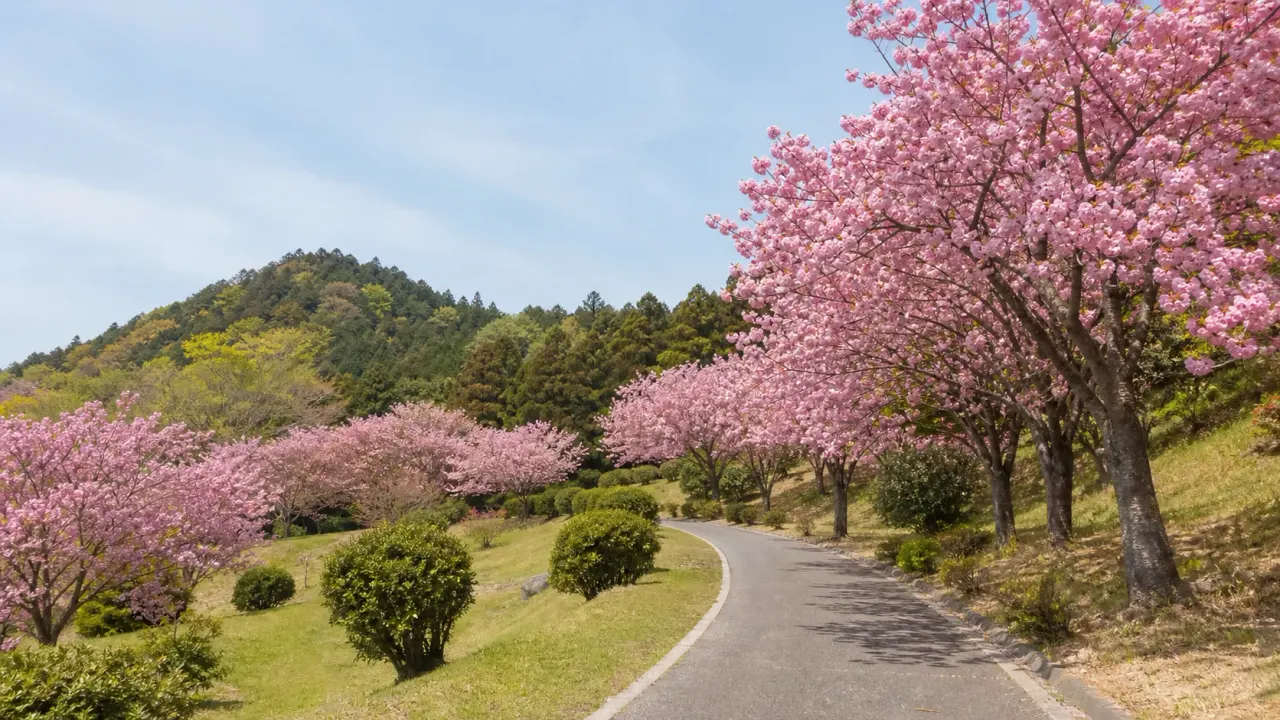茨城県那珂市の静峰ふるさと公園で、八重桜、丘陵の園路、親水施設や休憩所をゆっくり歩く散歩ガイド。桜の季節だけでなく、初夏や秋にも使いやすい公園です。