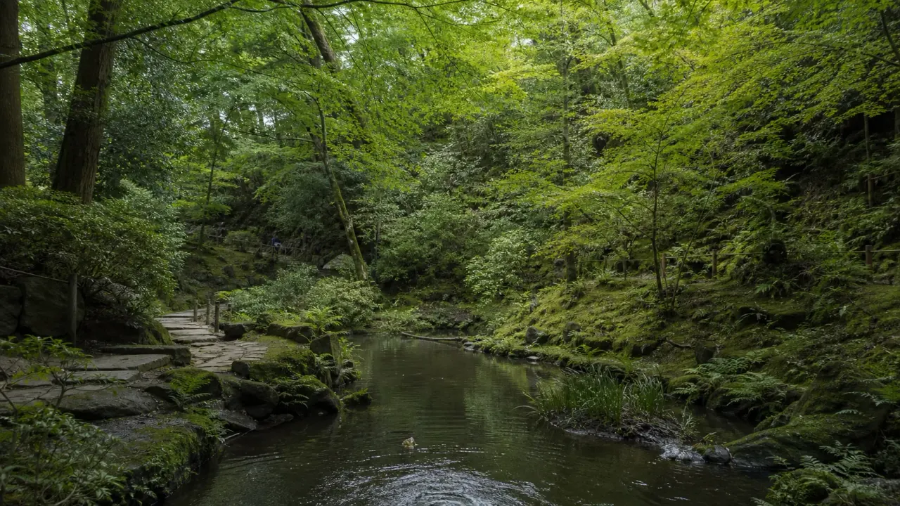 小金井市の滄浪泉園を散歩目線で紹介。はけと湧水を生かした自然緑地、開園時間、入園料、武蔵小金井駅からの歩き方を公式情報をもとに整理します。