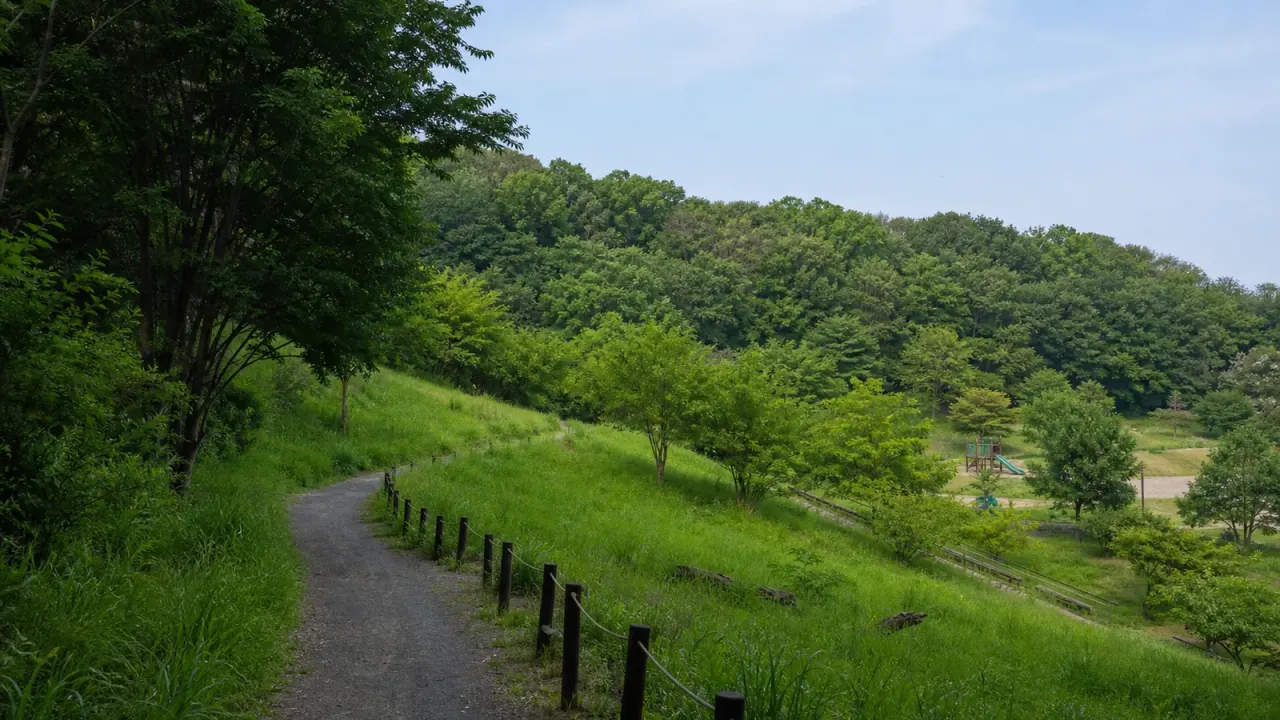川崎市宮前区の菅生緑地で、東地区の斜面を活かした遊具や広場、西地区の森をゆるく歩く散歩を紹介。あざみ野・宮前平方面から自然へ切り替える1時間半の使い方をまとめます。