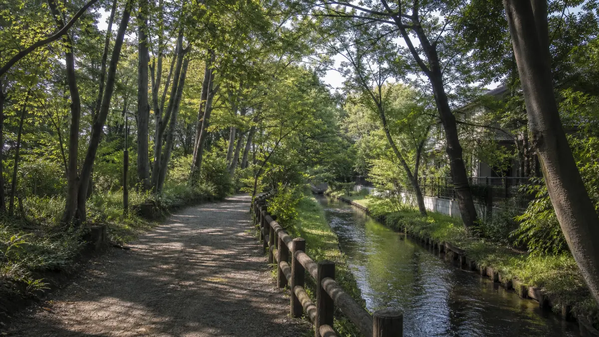 東京都立川市の玉川上水駅から、鷹の道、川越道緑地、砂川八番組馬頭観世音、玉川上水の木漏れ日をたどる北部散歩コースを紹介します。