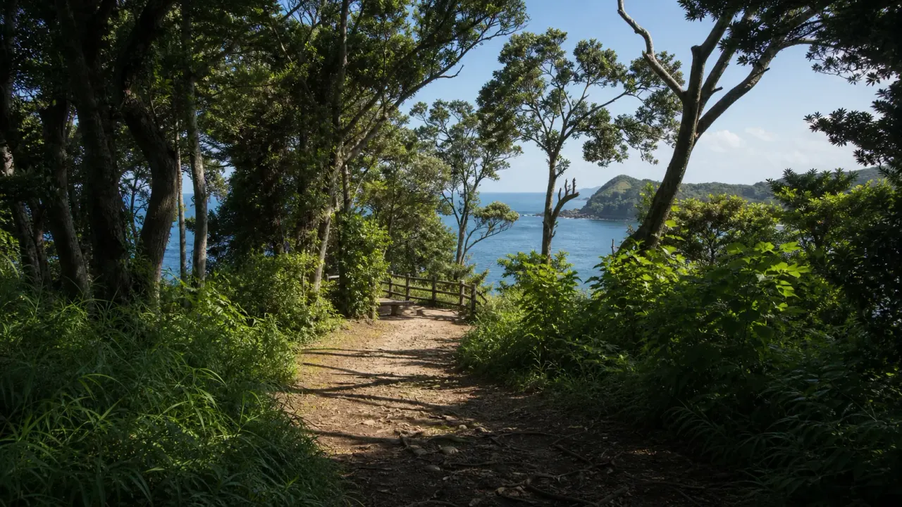 海を望む岬の森の園路をイメージした、大房岬自然公園のカバー画像