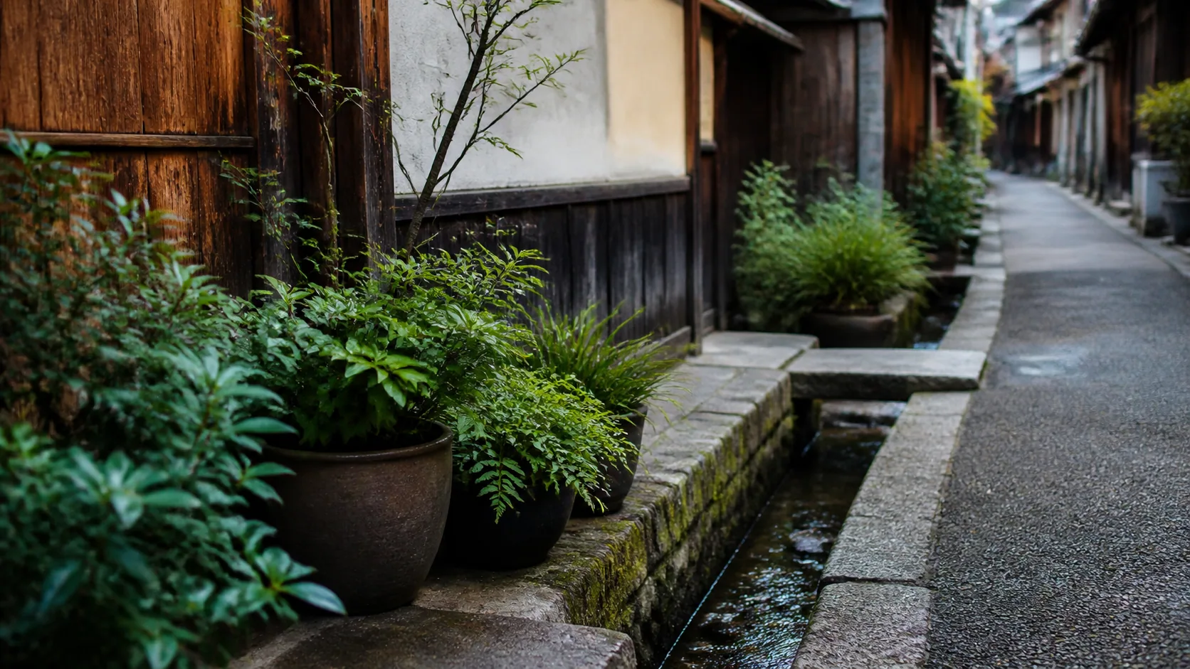 下町の路地と植栽の近景のイメージ