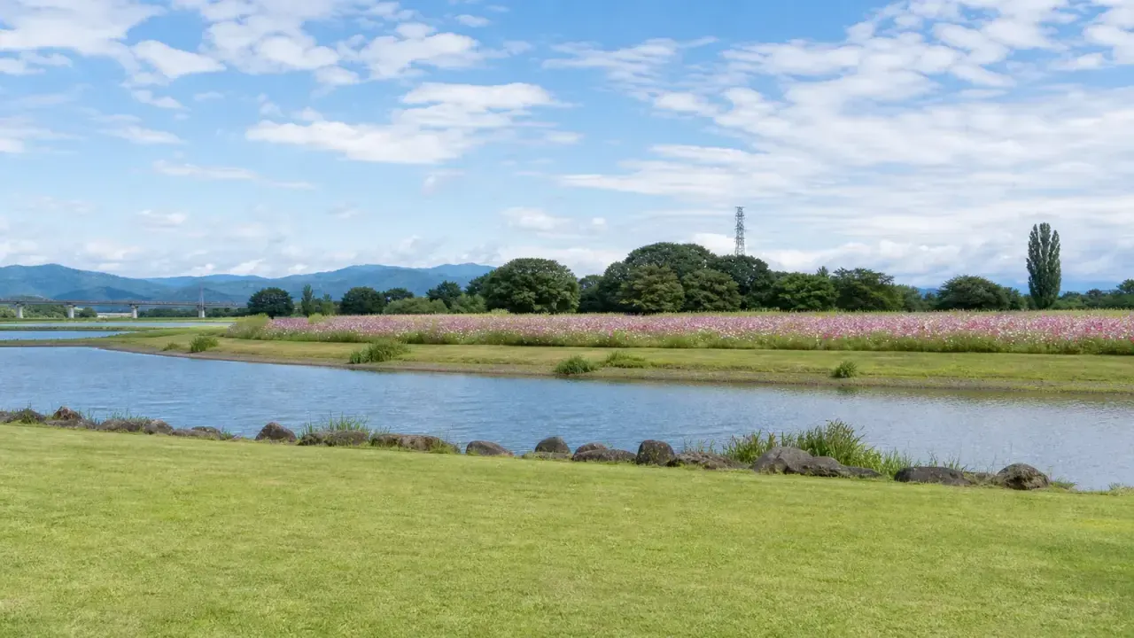 【高根沢・鬼怒グリーンパーク】鬼怒川沿いで花と水辺を歩く、広い公園さんぽ