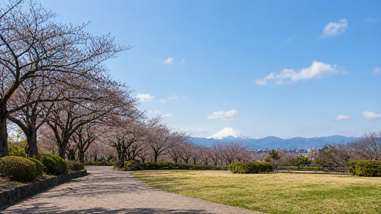 多摩センター近くの宝野公園で、空の抜けと富士見通りの広がりを感じながら静かに歩く散歩を紹介。高台の公園として、春の桜や日中の見晴らしを楽しむ過ごし方をまとめました。