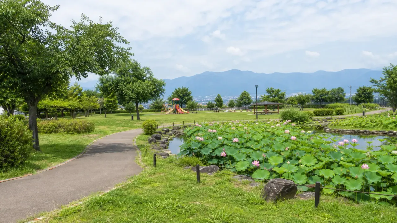玉穂ふるさとふれあい広場の蓮池と遊歩道を歩く夏の公園カバー画像
