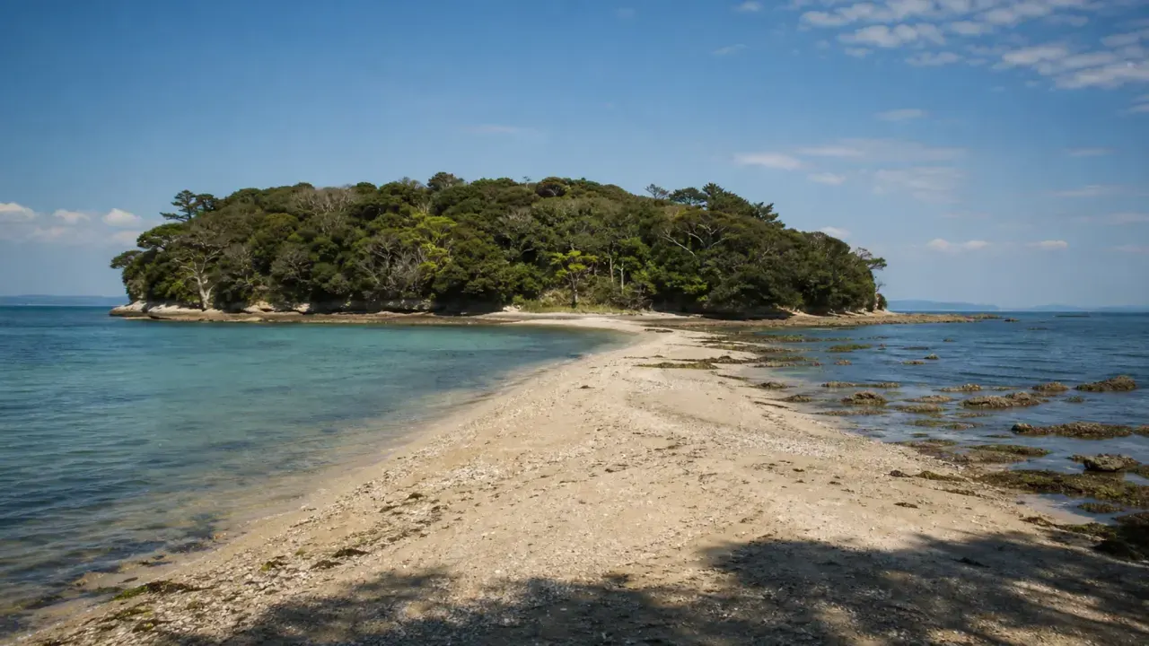 砂州でつながる小さな海岸林の島と穏やかな湾の水辺をイメージした、沖ノ島公園のカバー画像