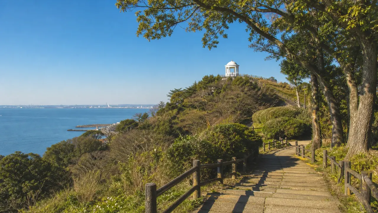 館山市の城山公園で、館山城、館山市立博物館、丘陵地からの海の眺めをつなぐ散歩を紹介。公園の開園時間、博物館の開館時間、園路の注意点もまとめます。