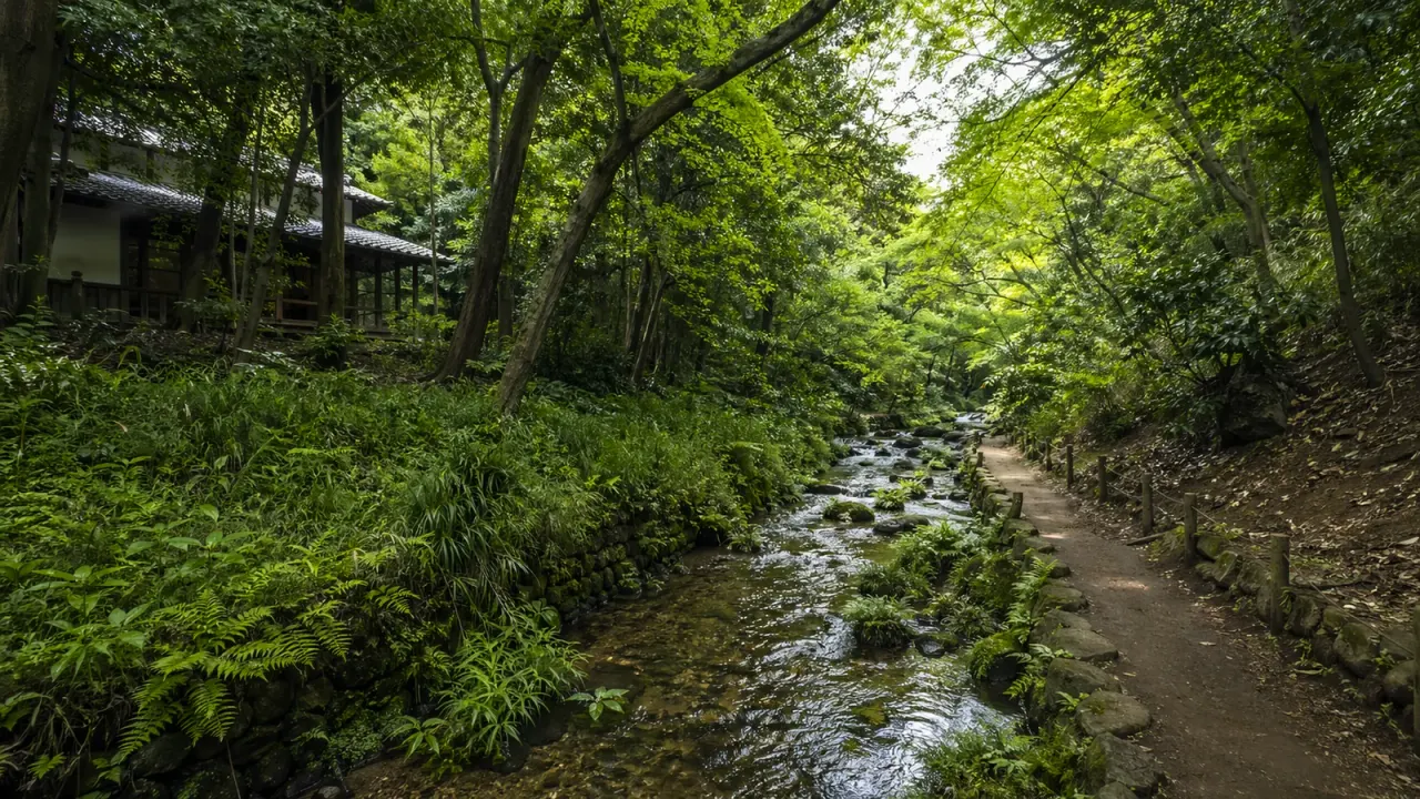 横浜・天王森泉公園で、湧水の森と雑木林、小川沿いの気配を静かに歩く散歩を紹介。泉区で落ち着きたい日に向く1時間の使い方をまとめます。