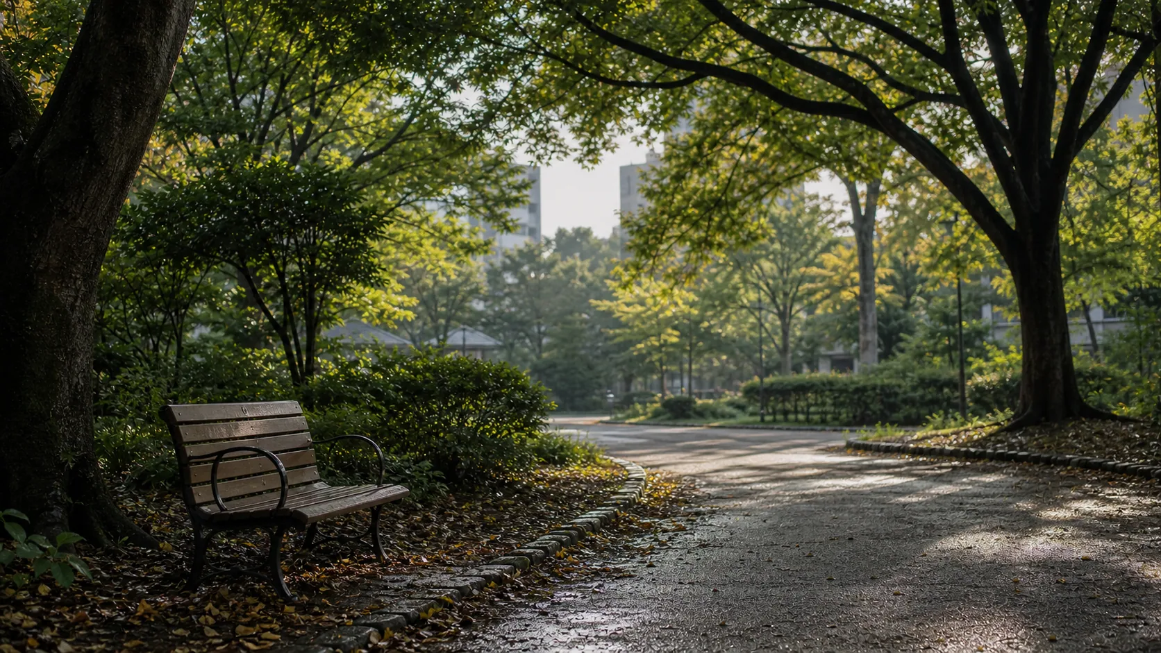 朝の木陰にあるベンチと散策路のイメージ