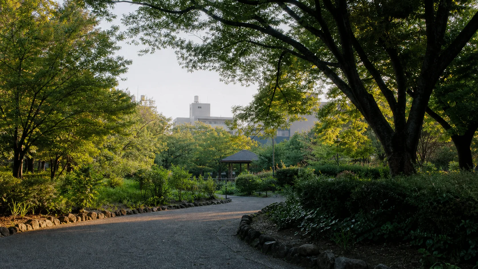 木々に包まれた静かな公園のイメージ