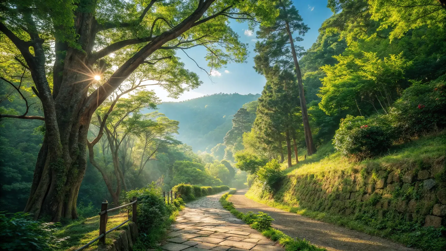 等々力渓谷の静かな緑の中を散歩｜都会の喧騒を忘れる癒やしの60分コース