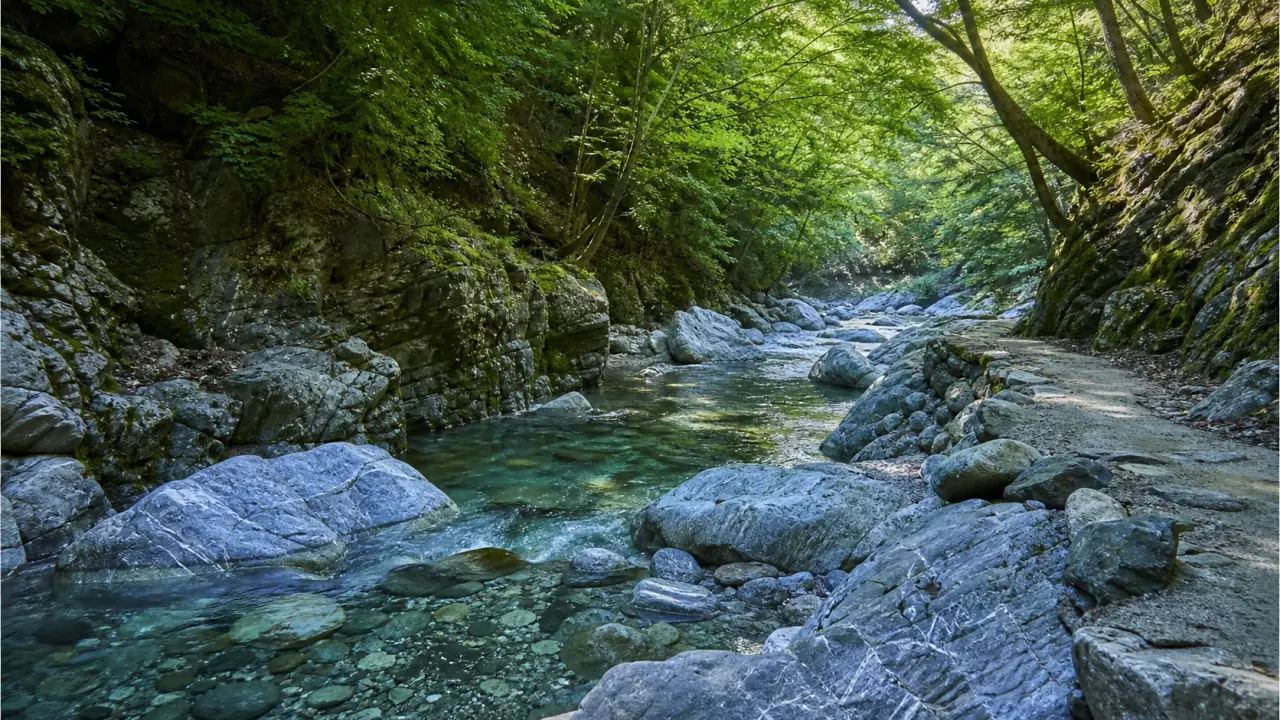 ときがわ町の三波渓谷を思わせる青みのある岩と清流、木陰の川辺