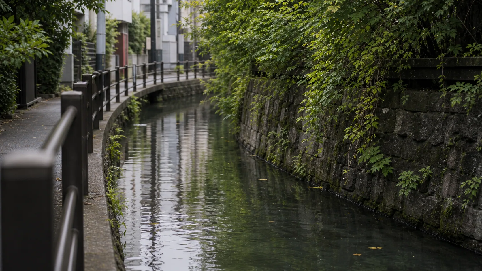 小さな水路と緑の遊歩道のイメージ