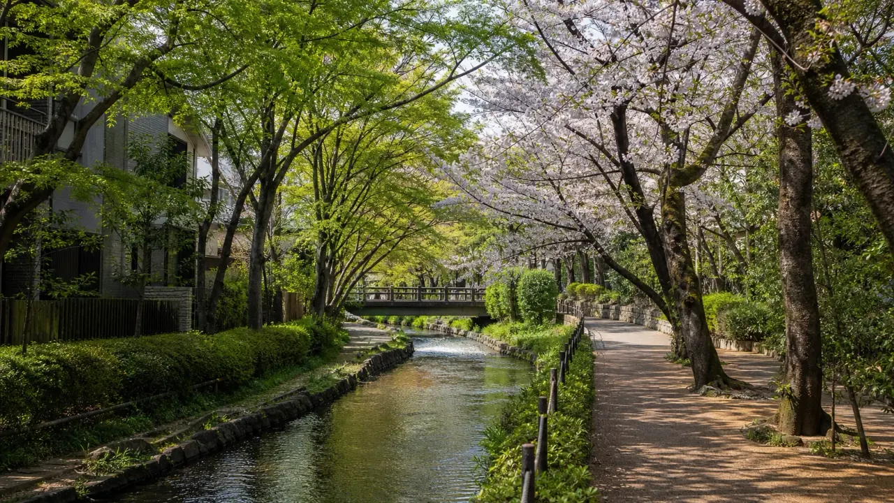 東京で静かな緑道散歩をしたい人向けに、善福寺川緑地、自由が丘緑道、立会川緑道など一人で歩きやすい緑道を7か所紹介。時間帯や休憩しやすさも整理します。