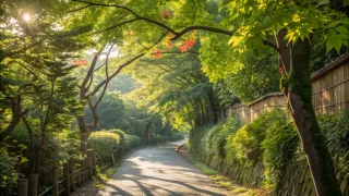 【週末リセット】東京の一人散歩｜気分転換におすすめの穴場コース3選