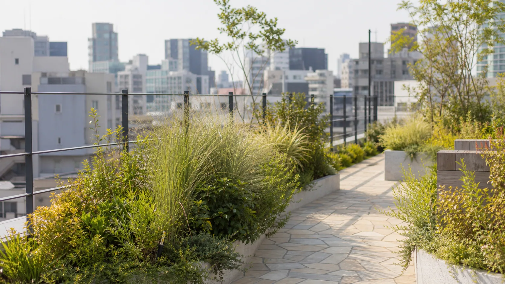 屋上庭園の植栽と通路の近景のイメージ