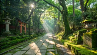 【保存版】東京の穴場神社で心を整える散歩｜本当に静かな場所7選