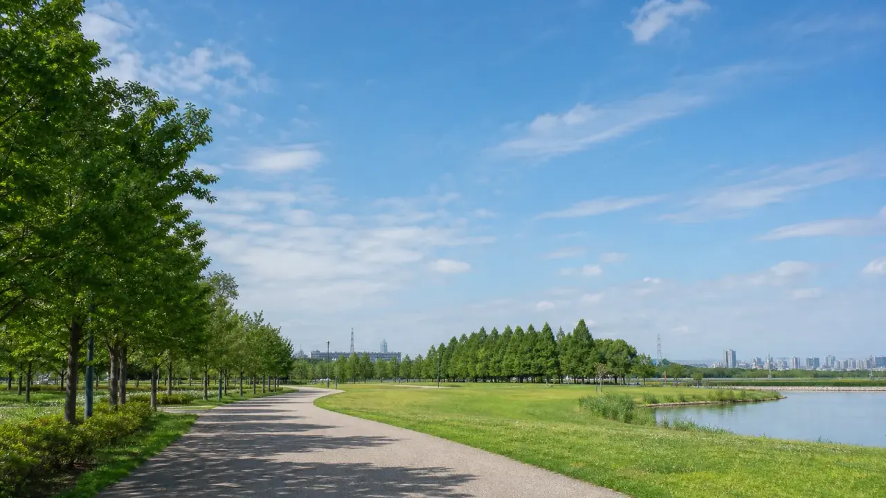 舎人公園の広い空と芝生、水辺の園路をイメージしたカバー画像