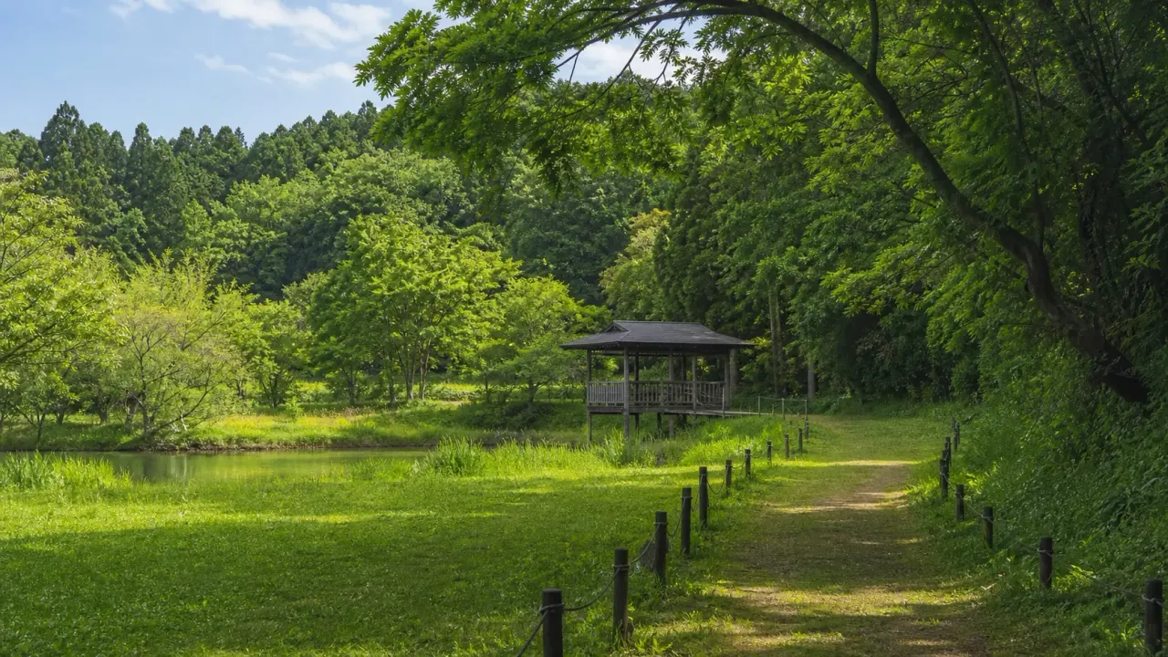 東庄県民の森の芝生広場と木々、水鳥観察舎へ続く里山の散歩道イメージ