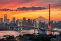 【週末リセット】豊洲ぐるり公園の散歩で心癒される夜景と夕日の見どころ5選