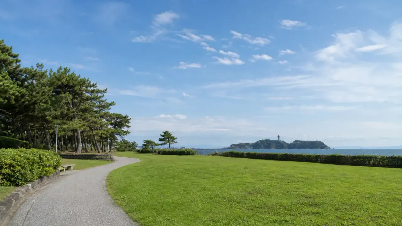 藤沢市の県立辻堂海浜公園で、広い芝生広場としょうなんの森、海側への導線を中心に歩く散歩を紹介。辻堂駅から入りやすい1時間半前後の回り方をまとめます。