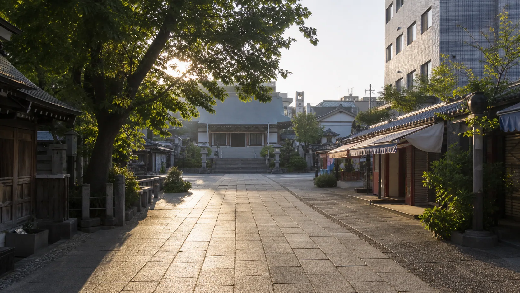 朝の寺町の石畳と木陰のイメージ