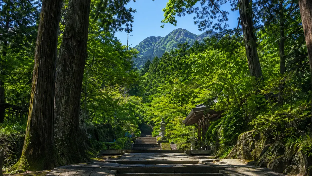 茨城県つくば市の筑波山神社周辺を歩く散歩ガイド。登山ではなく、神社の参道、森、山の気配を短時間で味わう日帰りコースとして紹介します。