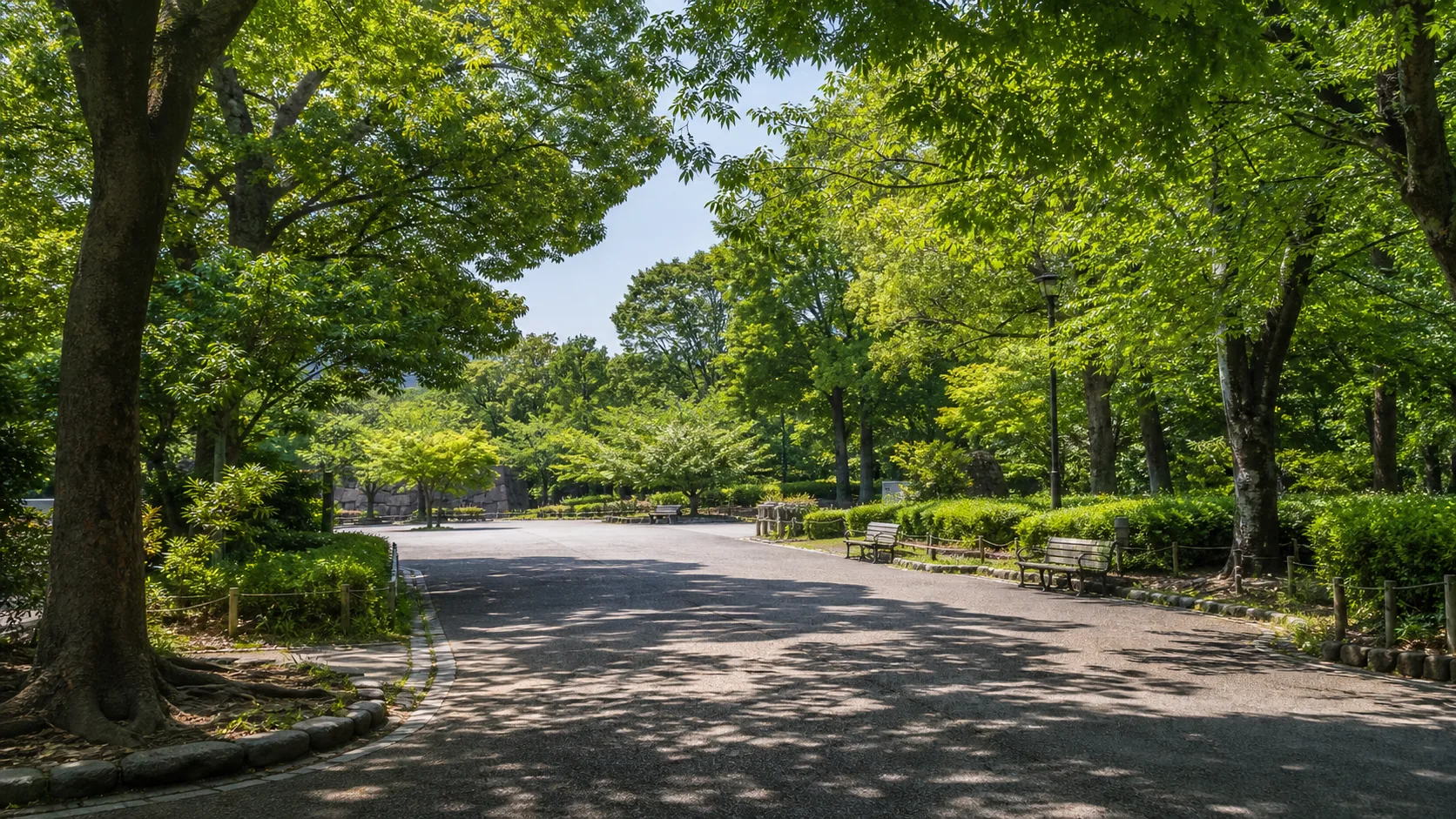 木陰の多い公園入口を短く歩くイメージ
