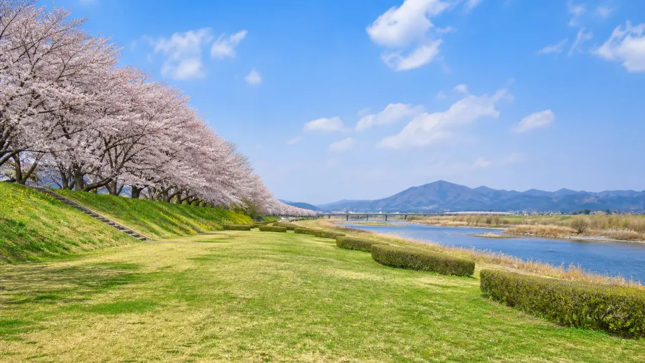 【さくら市】氏家ゆうゆうパークを歩く、鬼怒川と桜づつみの広い水辺さんぽ
