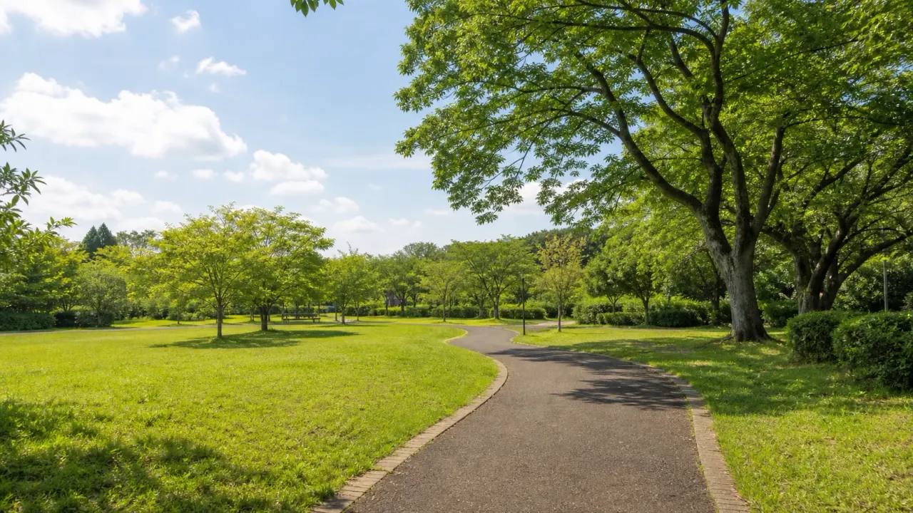 八街中央公園をイメージした芝生と木立の散歩風景