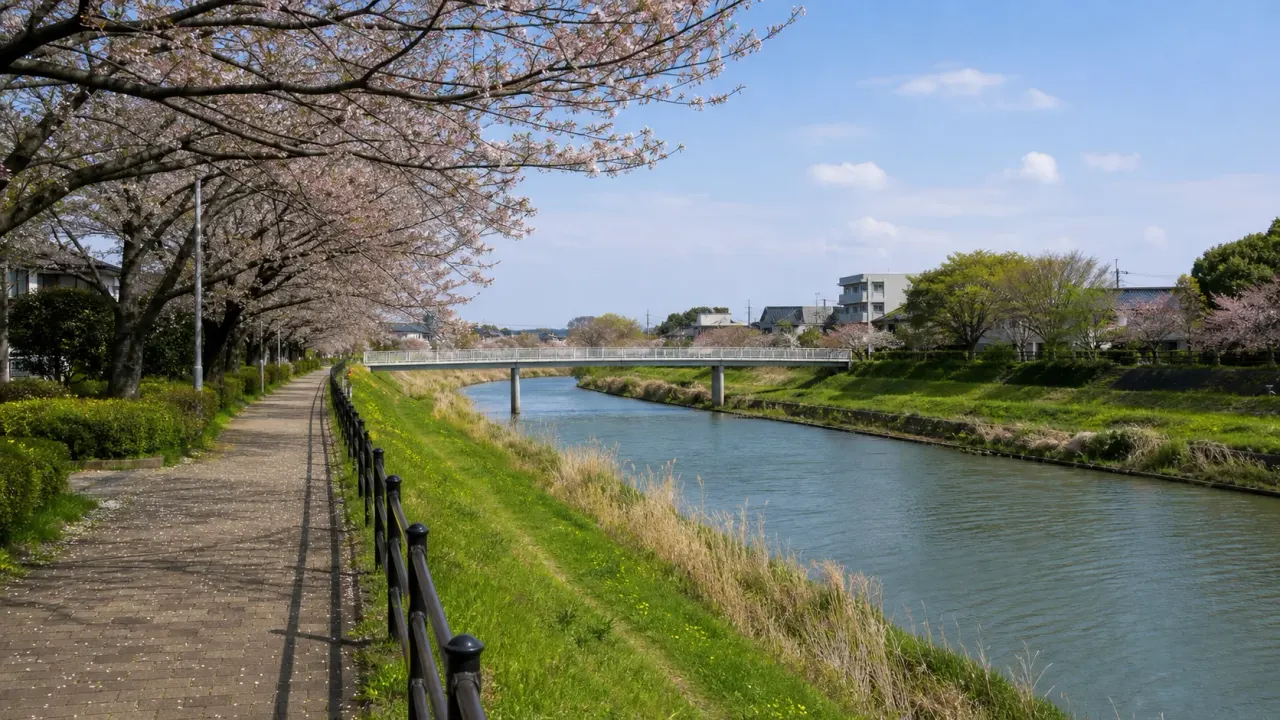 千葉県八千代市の新川遊歩道を、ゆらゆら橋や新川千本桜を目印に歩く散歩ガイド。桜の季節だけでなく、川沿いの緑を1〜2時間で楽しむコースとしてまとめます。