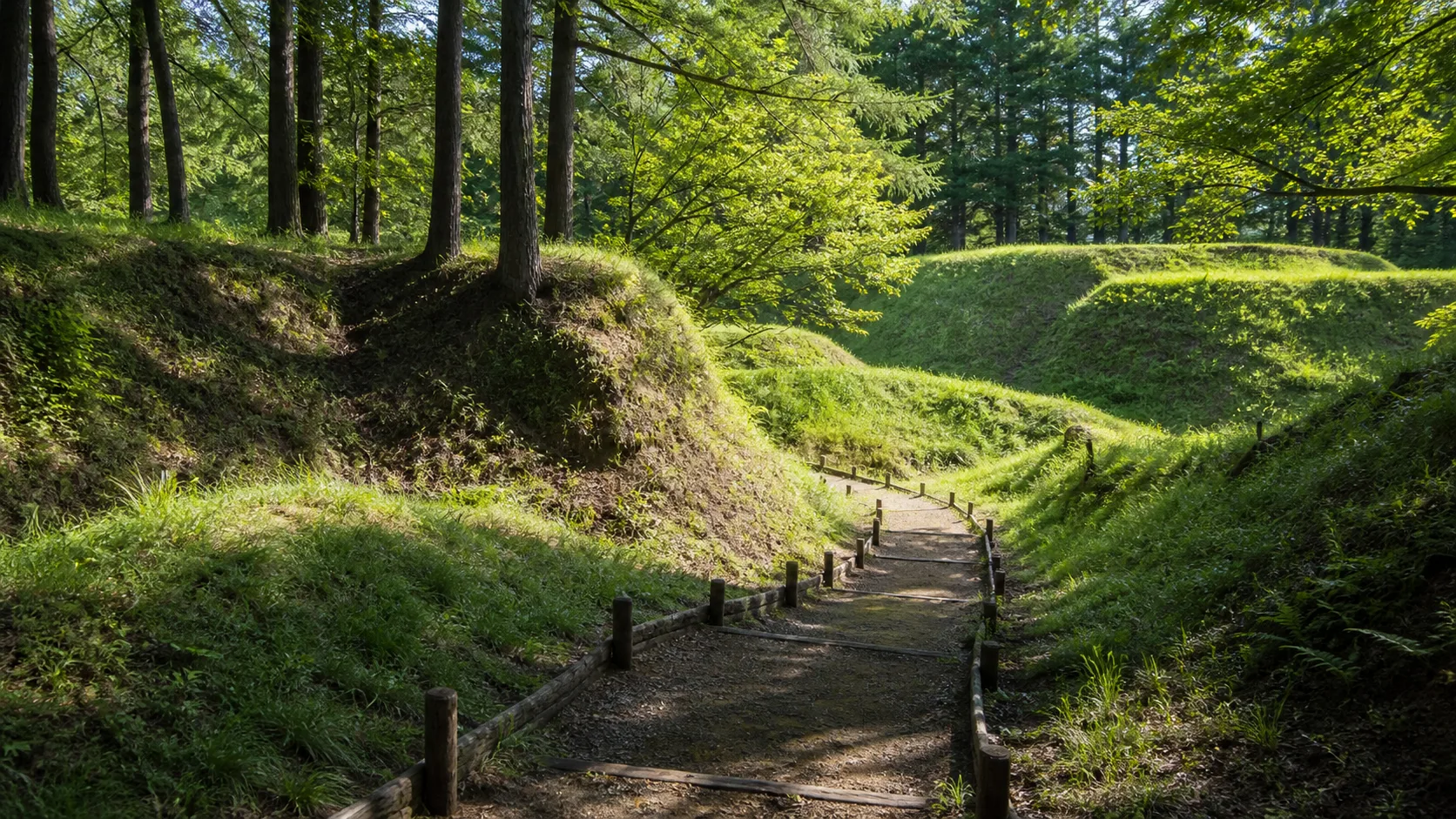 森の中の土の道と城跡の起伏を歩くイメージ
