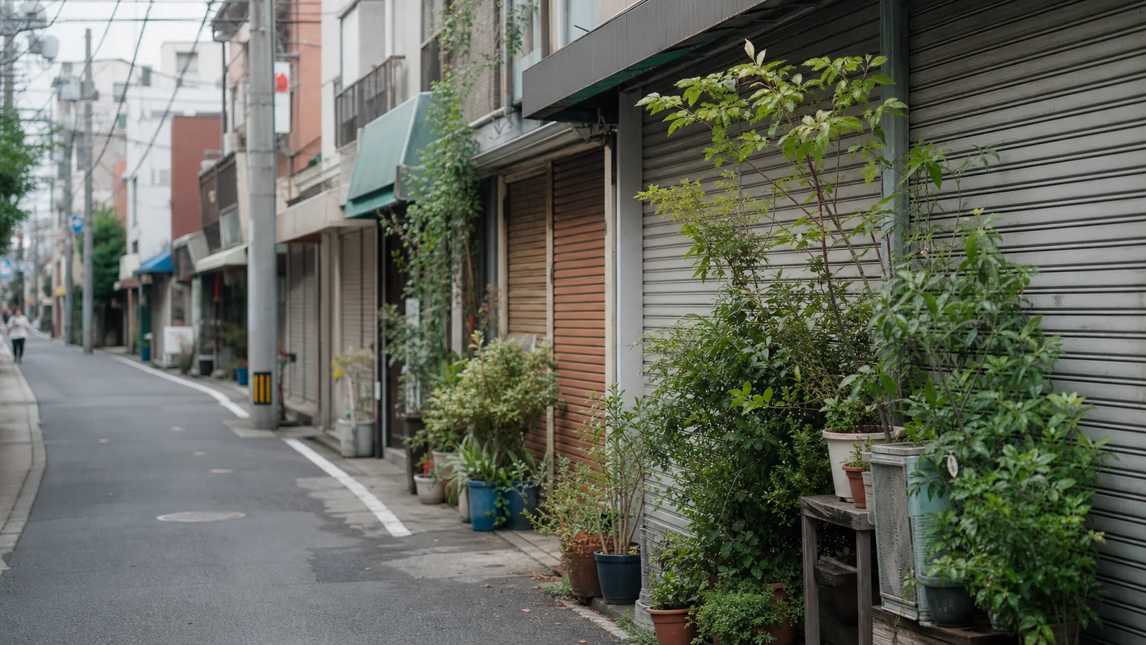 平坦な路地と店先の植栽のイメージ