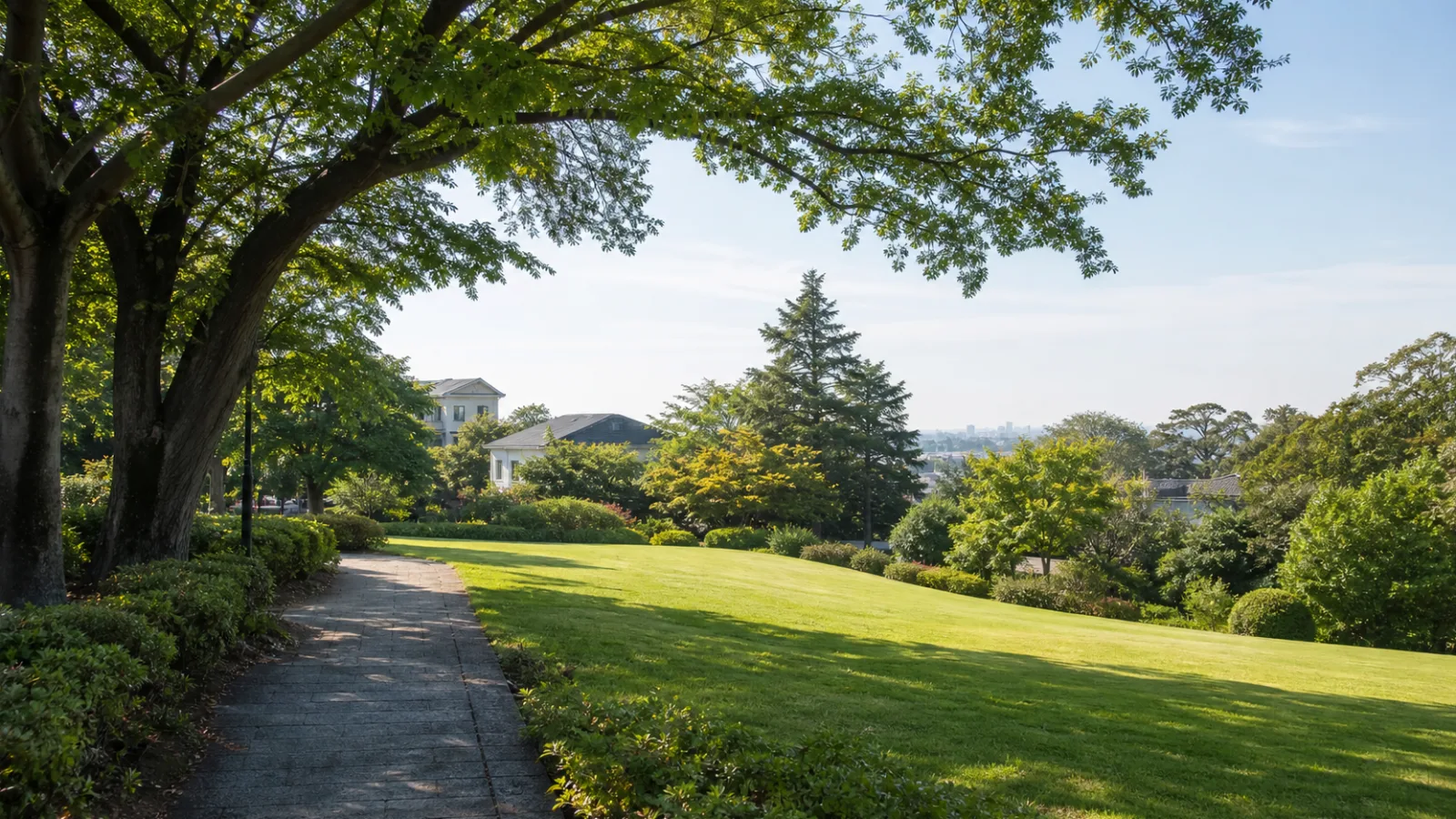 高台の芝生と木立が広がる静かな公園のイメージ