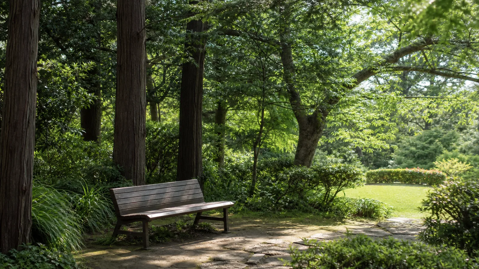 木陰のベンチと芝生の縁がある休憩場所のイメージ