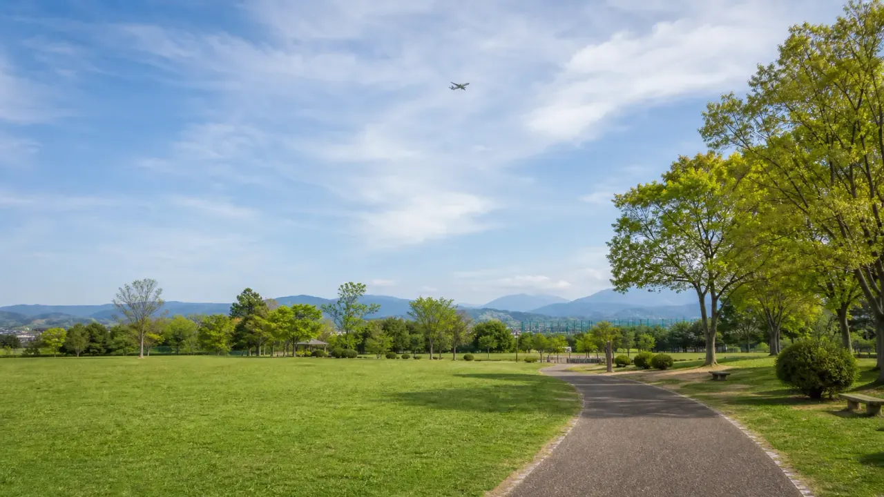 大和市の大和ゆとりの森で、修景池ゾーン、芝生斜面、展望デッキをゆっくり歩く散歩を紹介。遊具やスポーツ利用に寄せすぎず、空の広さを味わう1時間半の過ごし方をまとめます。