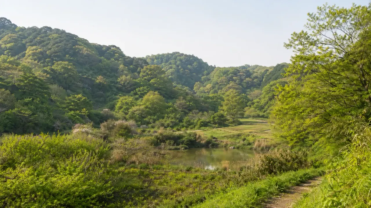 山崎・台峯緑地で、鎌倉の三大緑地らしい谷戸の池と樹林を静かに歩く散歩を紹介。北鎌倉や富士見町から入りやすい、2時間前後の使い方をまとめます。
