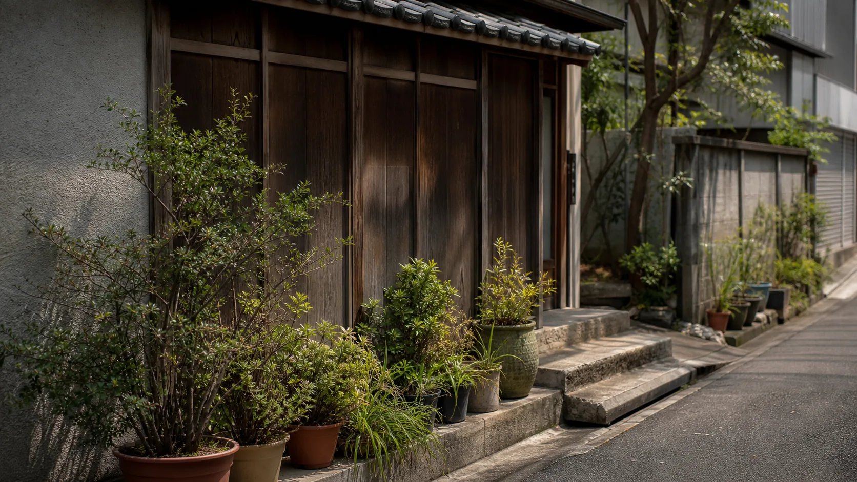 古い路地の植栽と木戸の近景のイメージ
