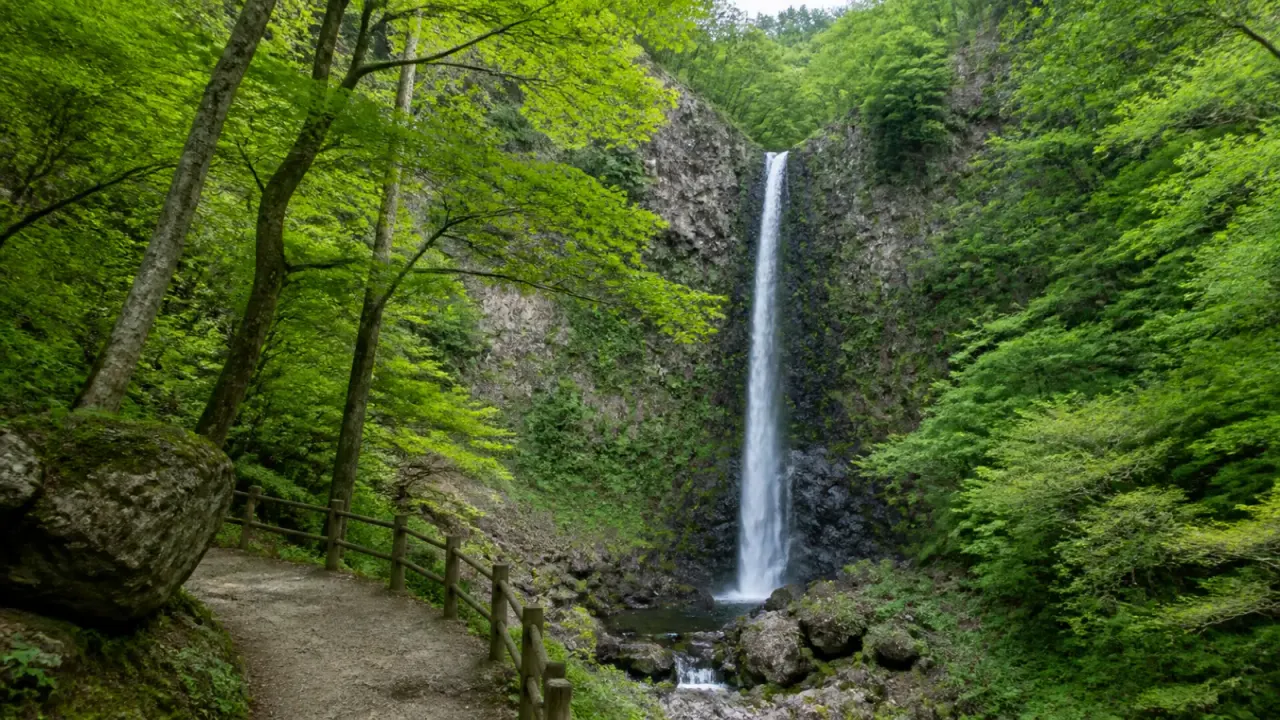 吉岡町の船尾滝と新緑の森、滝見へ向かう遊歩道をイメージしたカバー画像