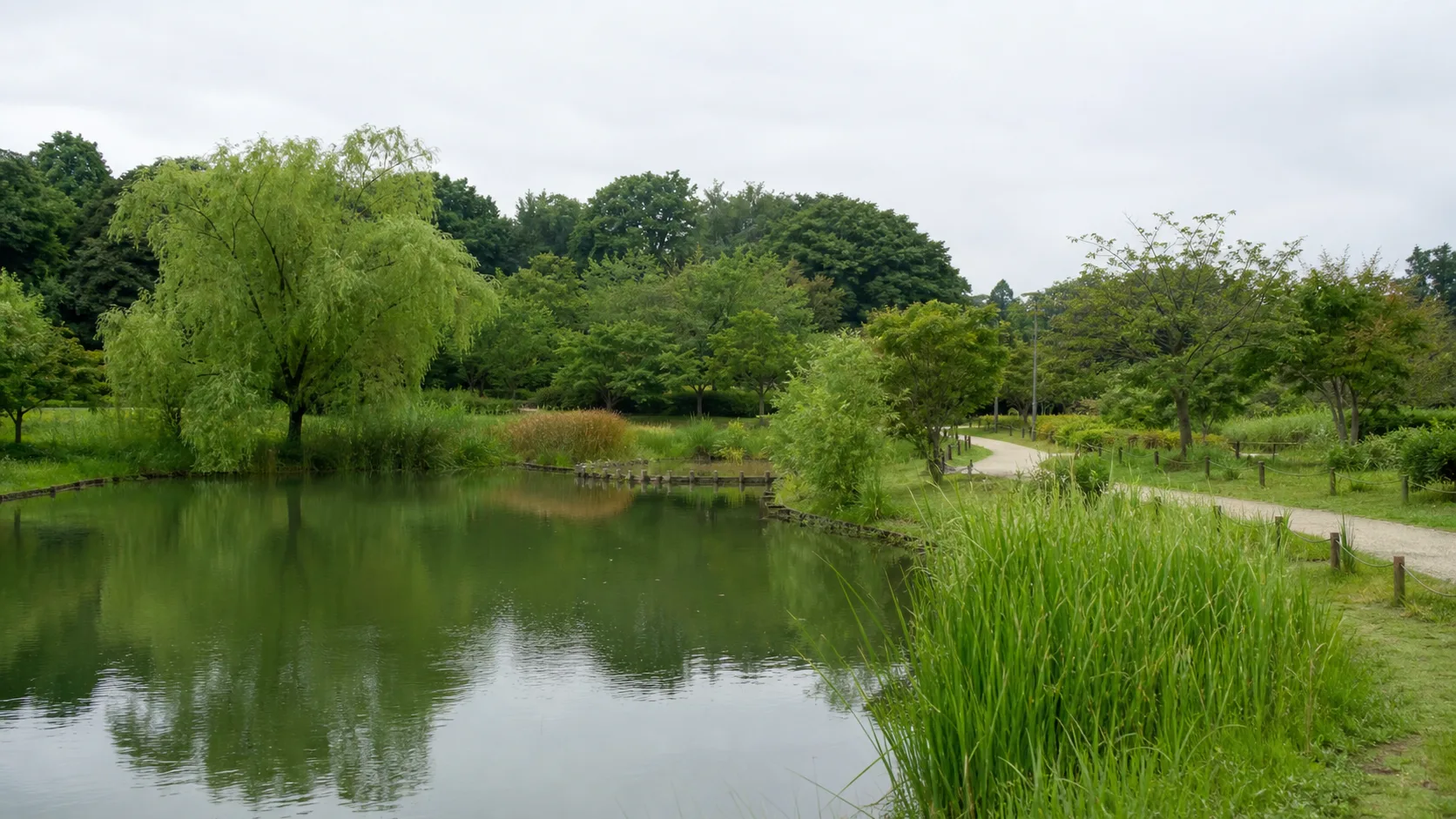 大きな公園の池まわりを歩く雰囲気の補助画像