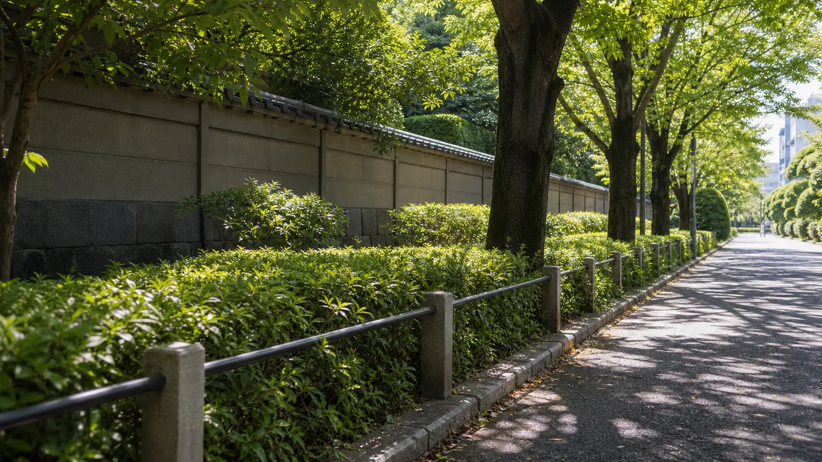 緑の並木道と歩道の近景のイメージ