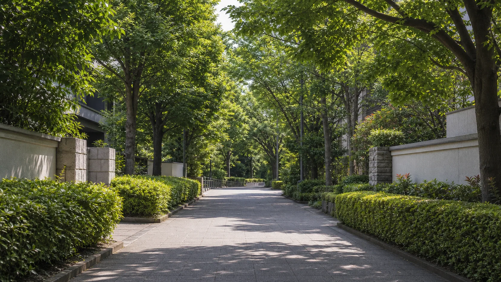 四谷の静かな住宅街へ向かう道のイメージ