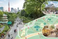 【1日満喫】代々木公園と奥渋カフェ巡りモデルコース｜地図で巡る散歩プラン