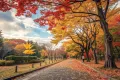 【2025年最新】代々木公園の紅葉の見頃はいつ｜写真スポット5選と混雑回避のコツ